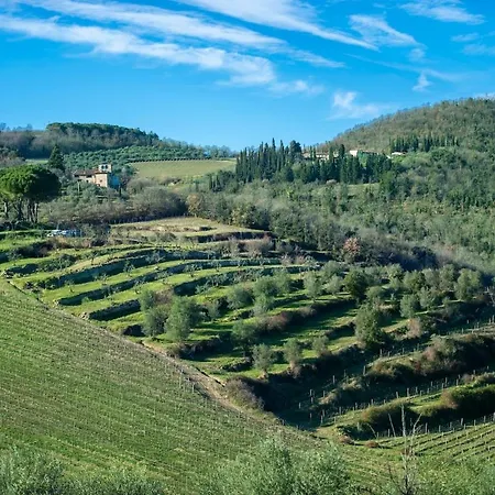 Villa My Exclusive Italy - Chianti's With Vineyard, Infinity Pool & View *