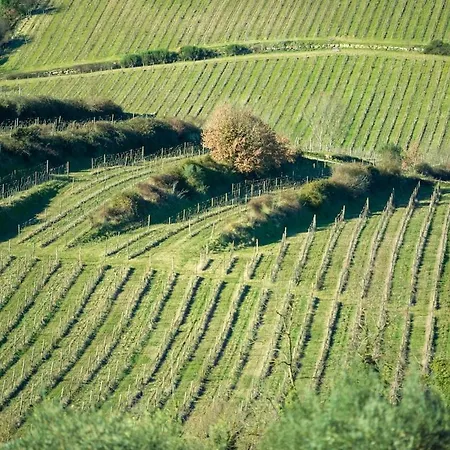 Villa My Exclusive Italy - Chianti's With Vineyard, Infinity Pool & View *